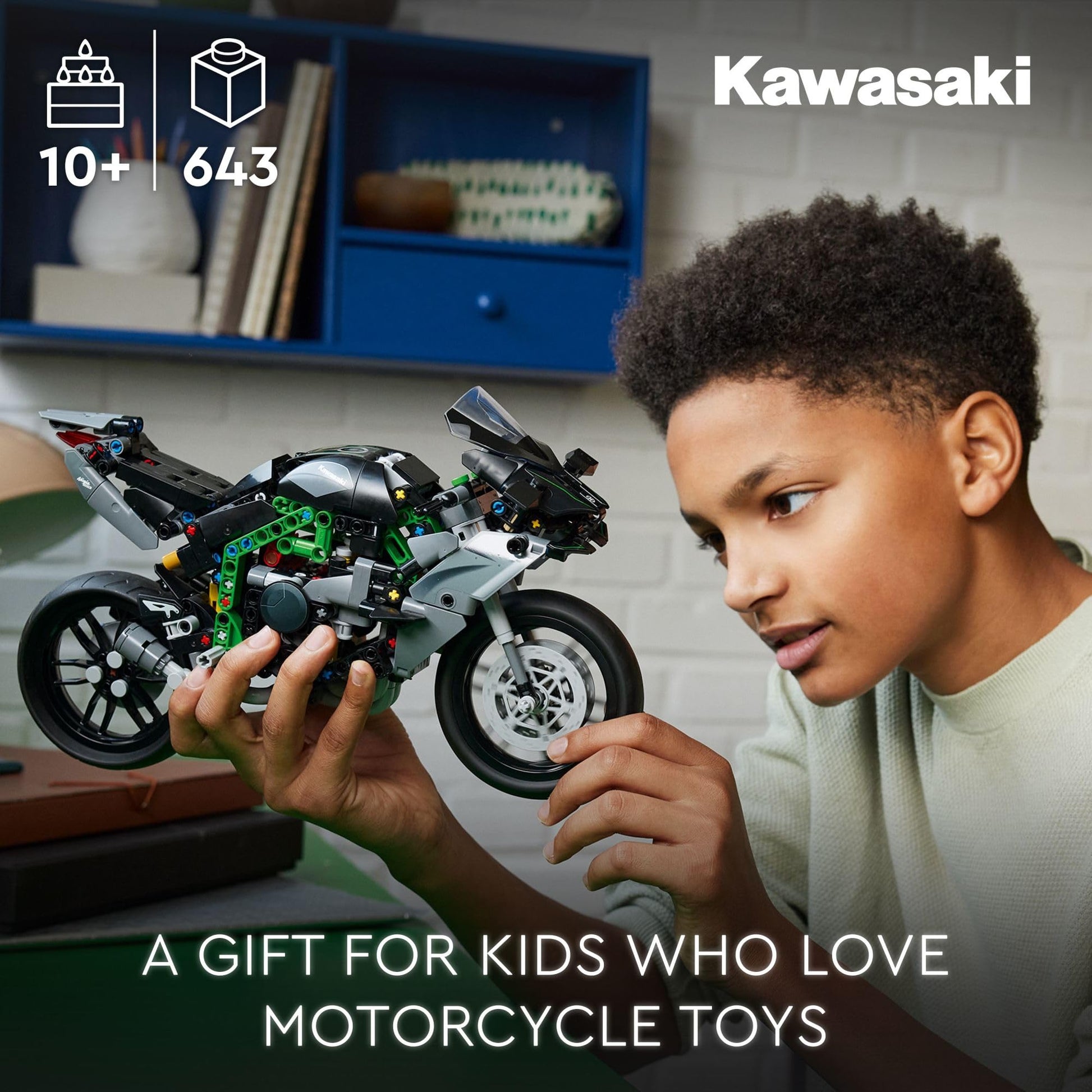 LEGO Technic Kawasaki Ninja H2R Motorcycle Toy - Building Toys for Kids, Boys & Girls, Ages 10+ - Kickstand for Display - Model Kit Birthday Gift