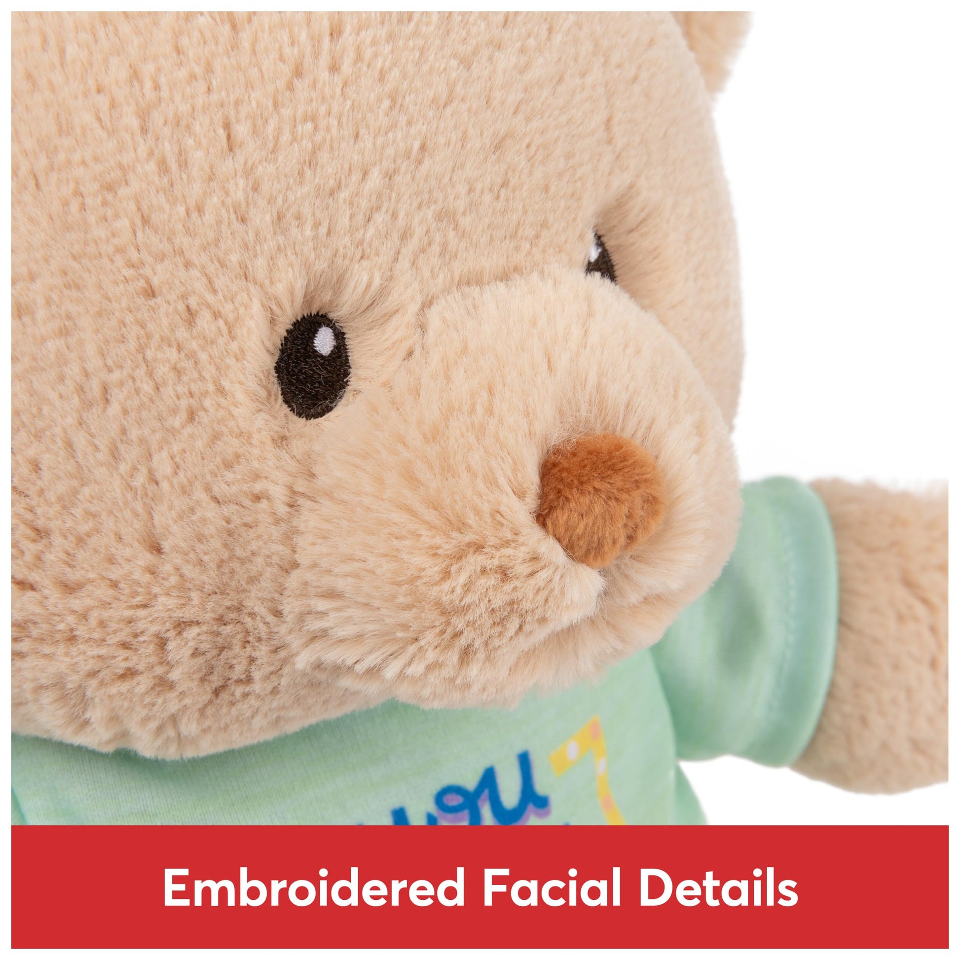 GUND Sustainably Soft “You Got This” 12" Bear with Green T-Shirt, Ages 0+