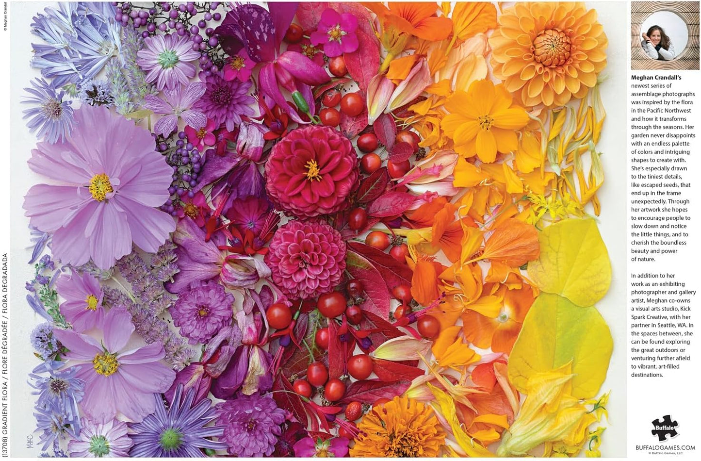 Buffalo Games - Meghan Crandall - Gradient Flora - 1000 Piece Jigsaw Puzzle for Adults -Challenging Puzzle Perfect for Game Nights - Finished Size is