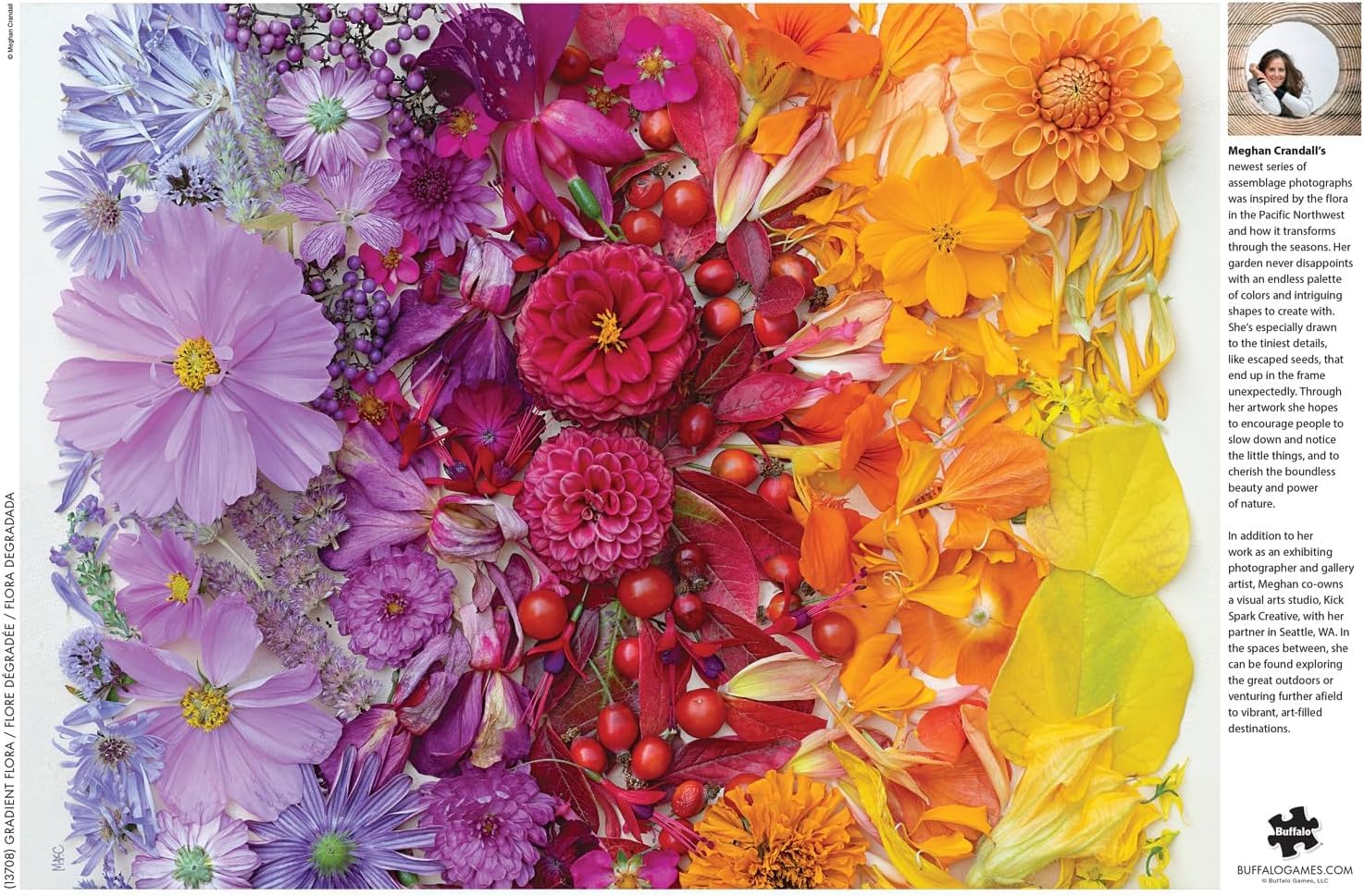 Buffalo Games - Meghan Crandall - Gradient Flora - 1000 Piece Jigsaw Puzzle for Adults -Challenging Puzzle Perfect for Game Nights - Finished Size is