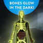 National Geographic Human Body Model for Kids 32-Piece Anatomy Set