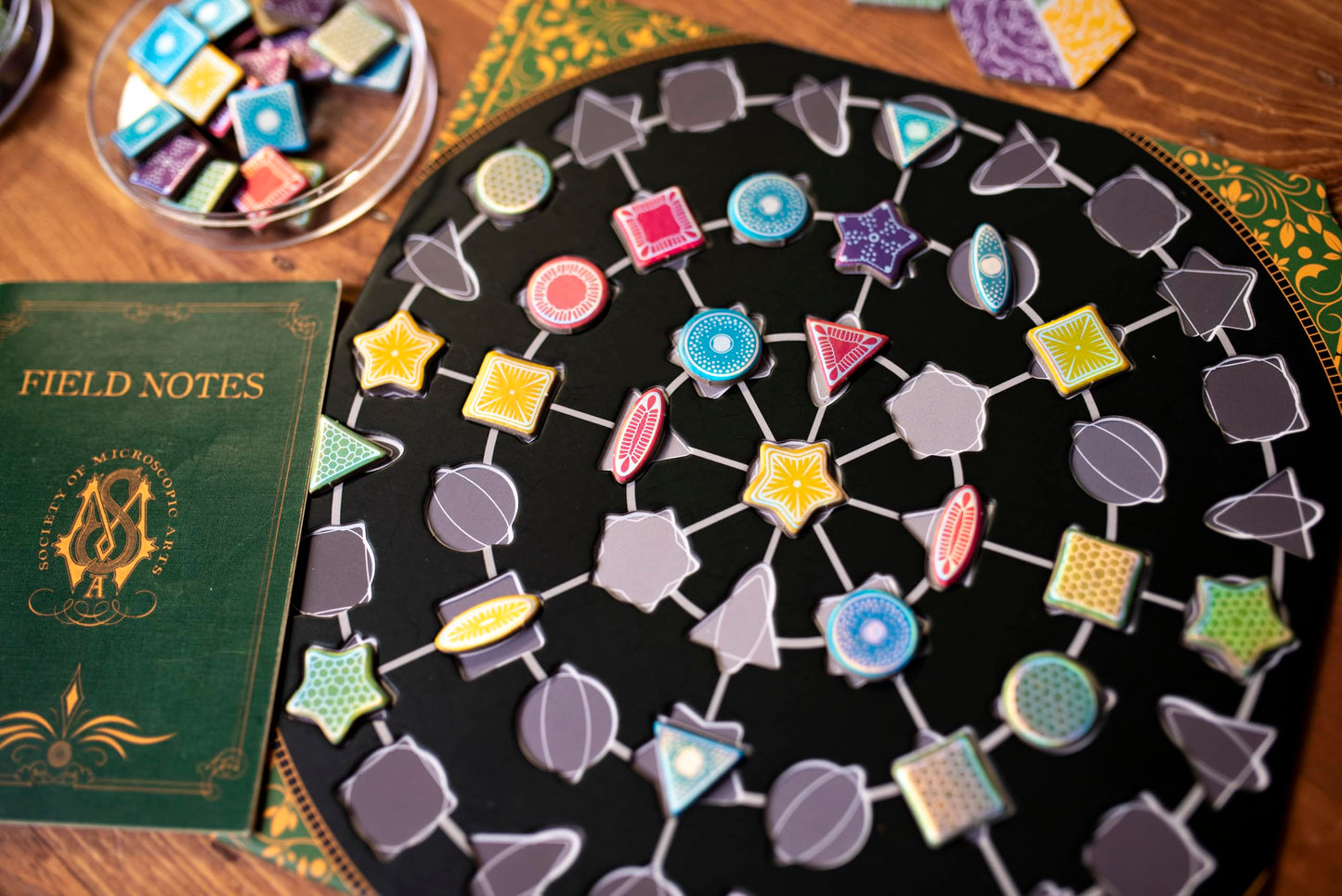 25th Century Games Diatoms Board Game - Artistic Tile Placement Strategy Game for 1-4 Players - Create Stunning Mosaics from Algae - Mensa Select