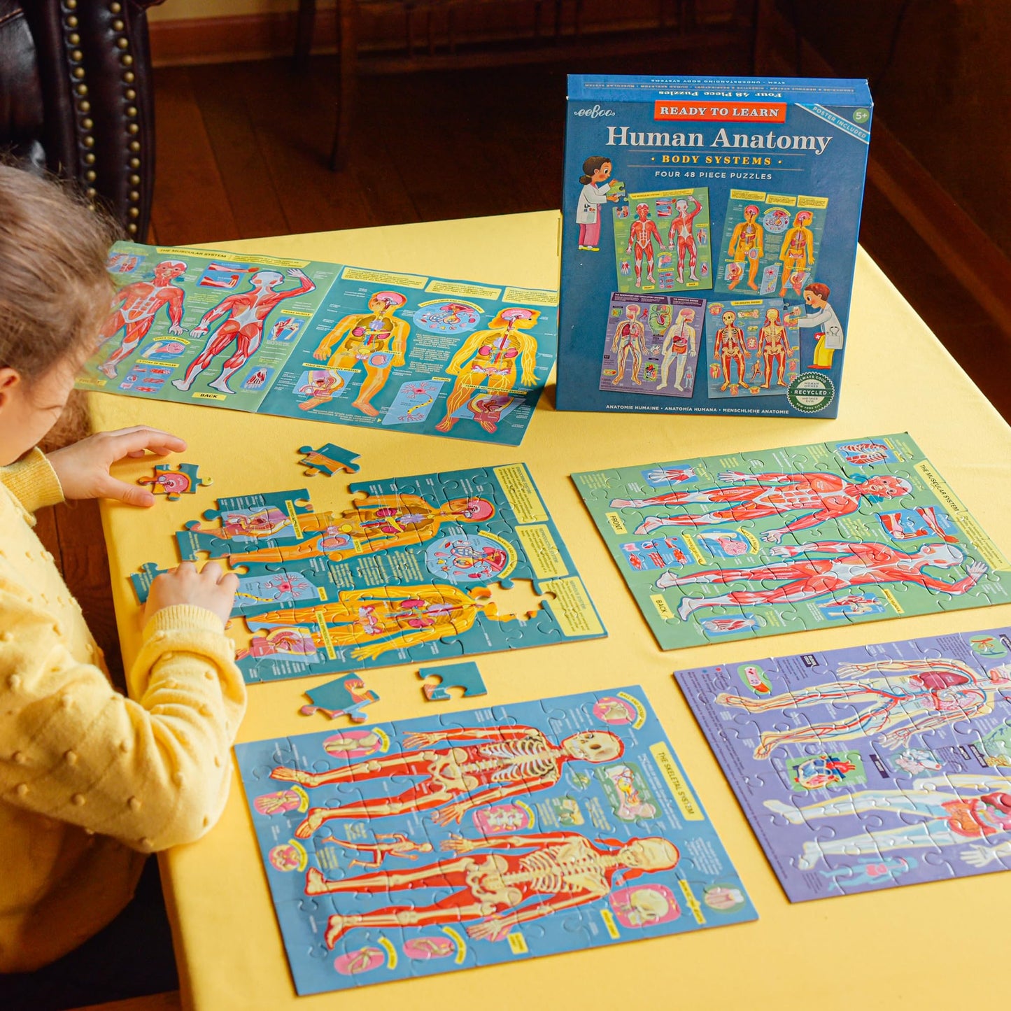 eeBoo Human Anatomy 48 Giant Piece Children's Puzzle, Four 12 PC Puzzles