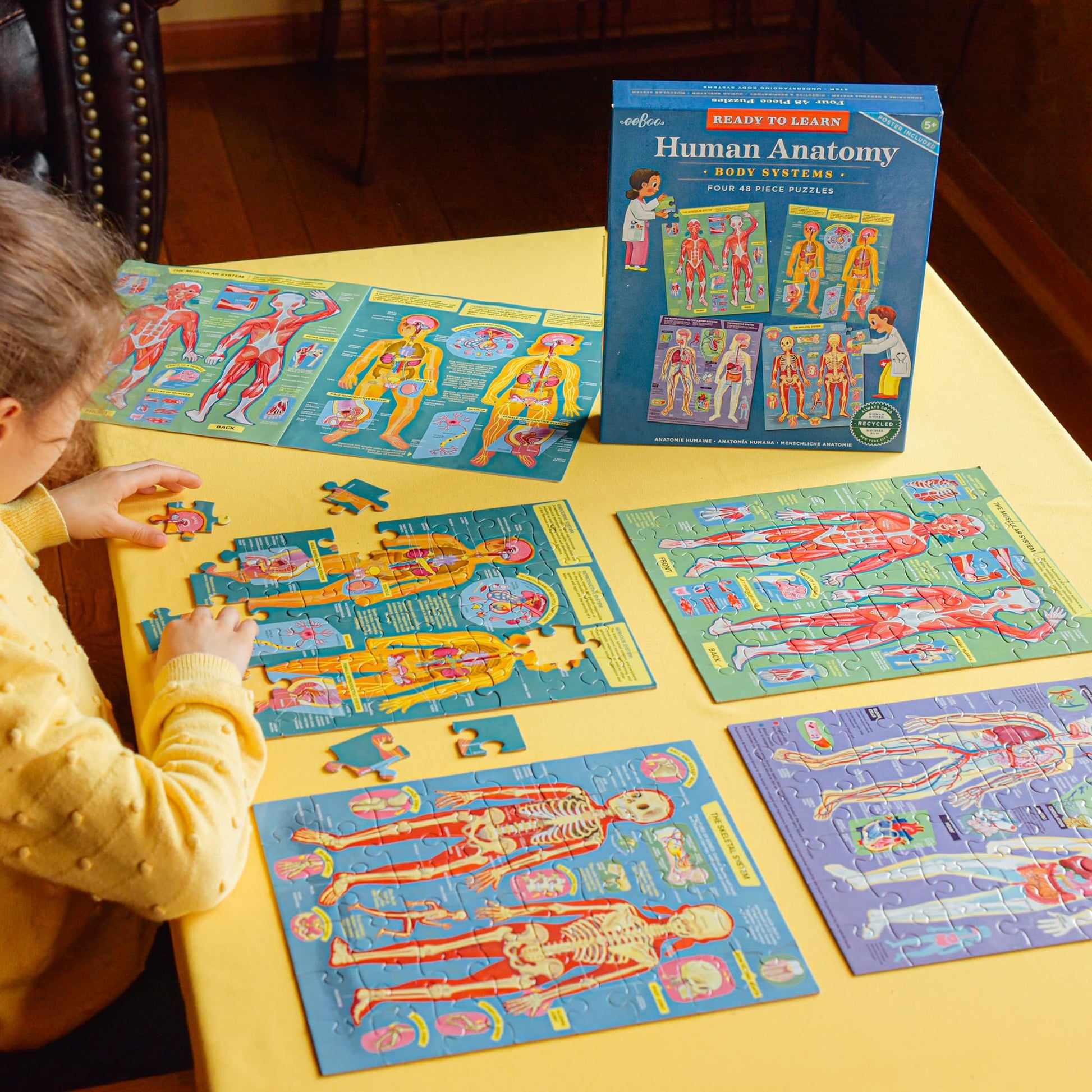 eeBoo Human Anatomy 48 Giant Piece Children's Puzzle, Four 12 PC Puzzles