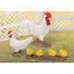 Big Country Toys: Chicken Coop Adventure - 11-Piece Farm Toy Playset, Rooster & Chicken Animal Figurines, Interactive Egg Gathering, Fencing, Kids 3+