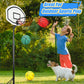 6" Mini Basketball Toy for Mini Pool Balls, Small Basketball for Over The Door Hoop, PVC Beach Balls for Kids Toddler Indoor 3 Pack