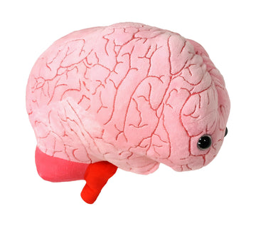 GIANT MICROBES Gigantic 17" Brain Organ Plush, Gift for Med Student, Gifts for Neurologist, Brain Surgery Recovery, TBI Awareness, Neurology Gifts