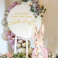 ZAIBIANHAO HE or SHE What Will Our Little Bunny Be Decal - Spring Easter Baby Shower Decorations,Some Bunny Party Decor for Balloon Archs,Rabbit Theme