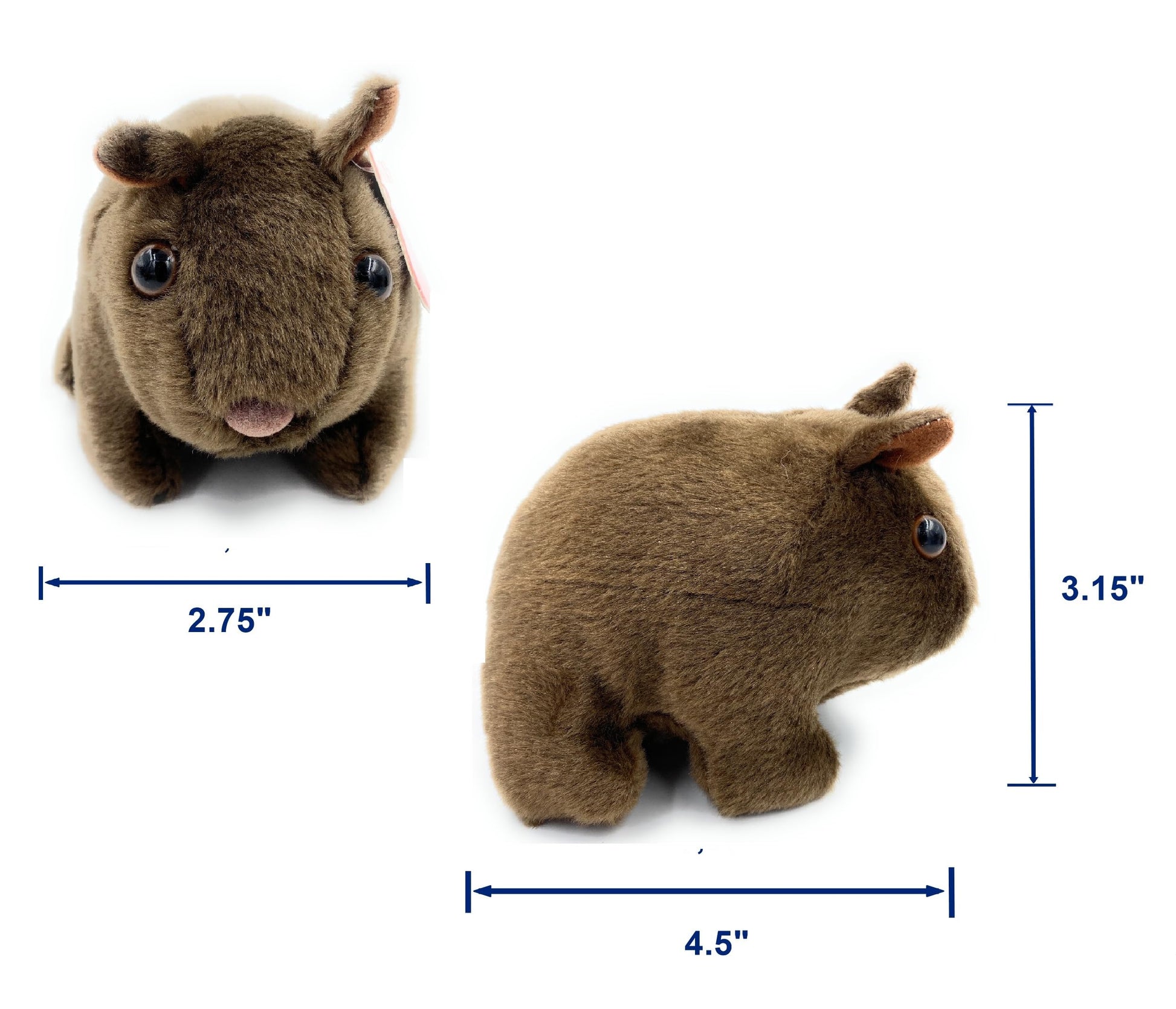 Aeisage Wombat Stuffed Animal 4.5" Plush Small Wombat Toys Cute Australian Souvenirs Tree Bear Gifts for Boys & Girls Super Soft Stuffed Colah