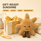 JoyAmigo Happy and Sad Sun Plush Pillow, 13.4 Inch Sunshine Cushion