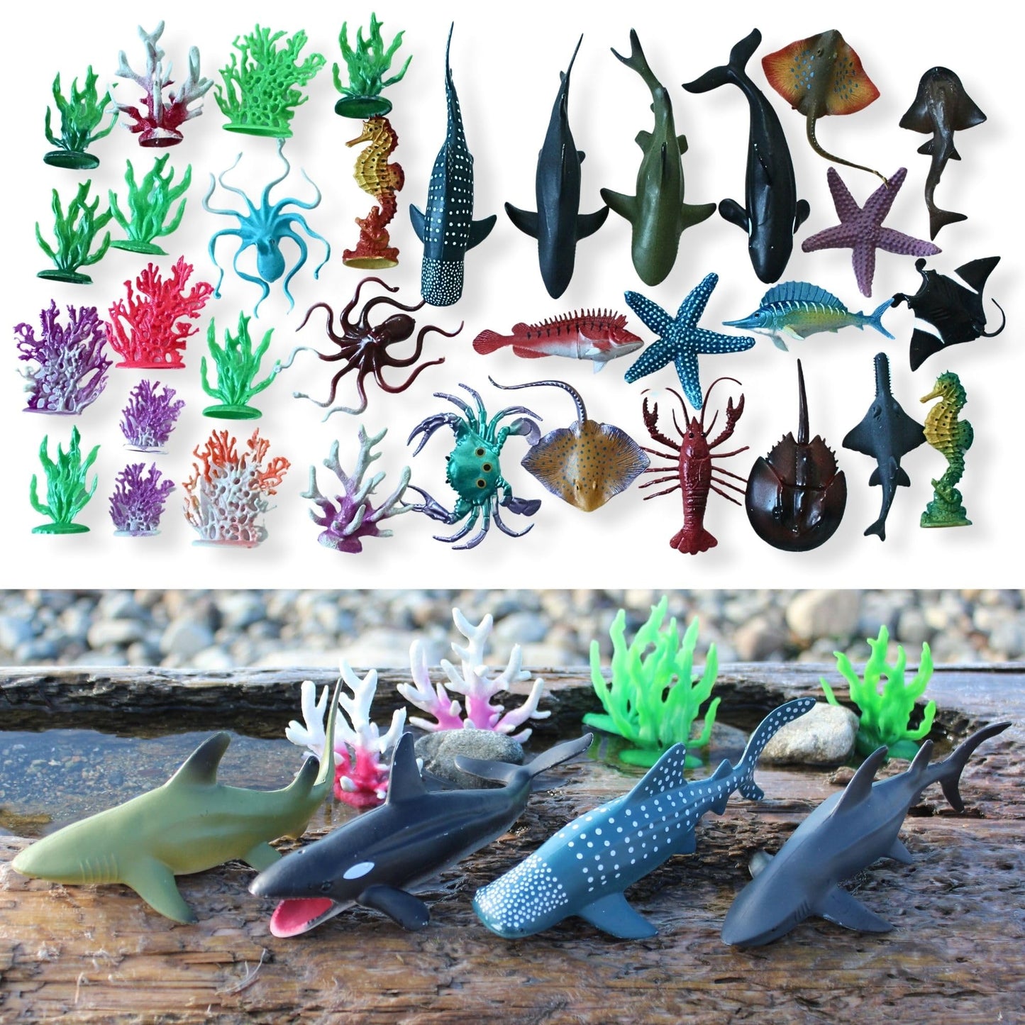 EXPLORACY 20pcs Sea Animals Toys for Kids Realistic Ocean Animal Toy Sealife Figurine Whale Shark Toys Bath Sensory Bin Play Birthday & Party Favors