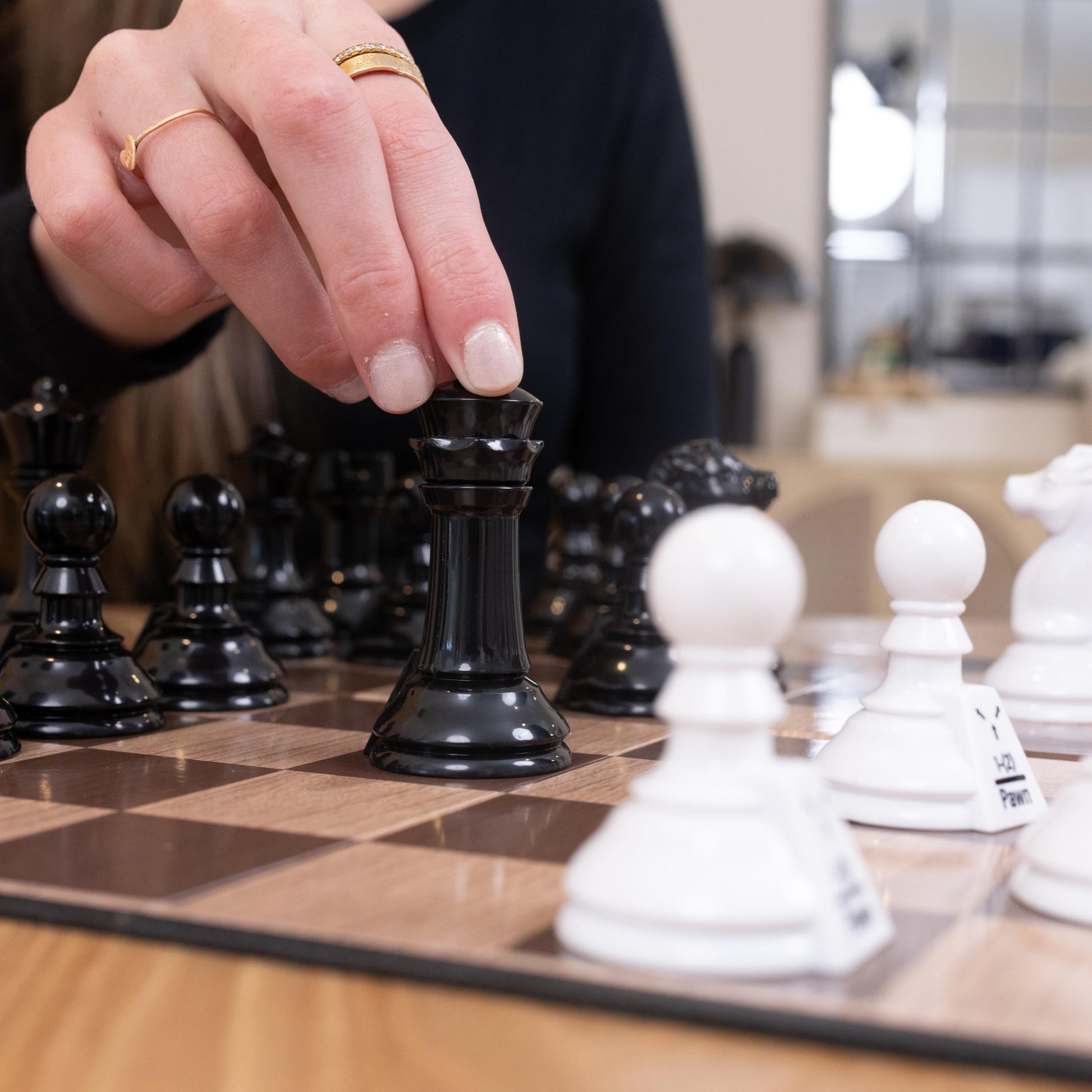Elbow Room Games Chess Teacher Set - Educational Chess Board with Movement Indicators, Perfect for Beginners and All Skill Levels, Ideal for Family