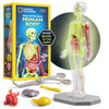 National Geographic Human Body Model for Kids 32-Piece Anatomy Set