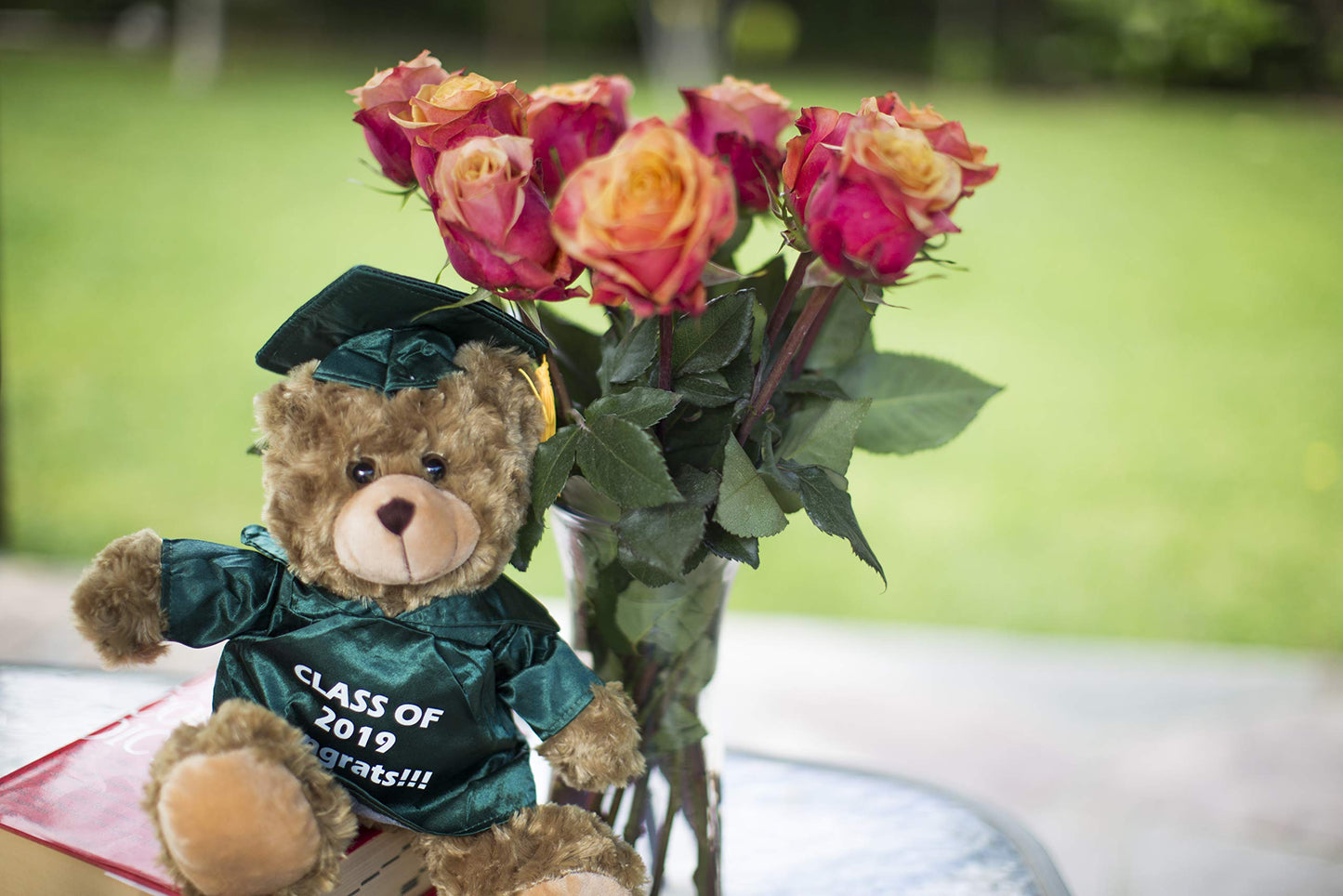Plushland Plush Stuffed Animal Toys 12 Inches Present Gifts for Graduation Day, Personalized Text, Name or Your School Logo on Gown, Best for Any Grad