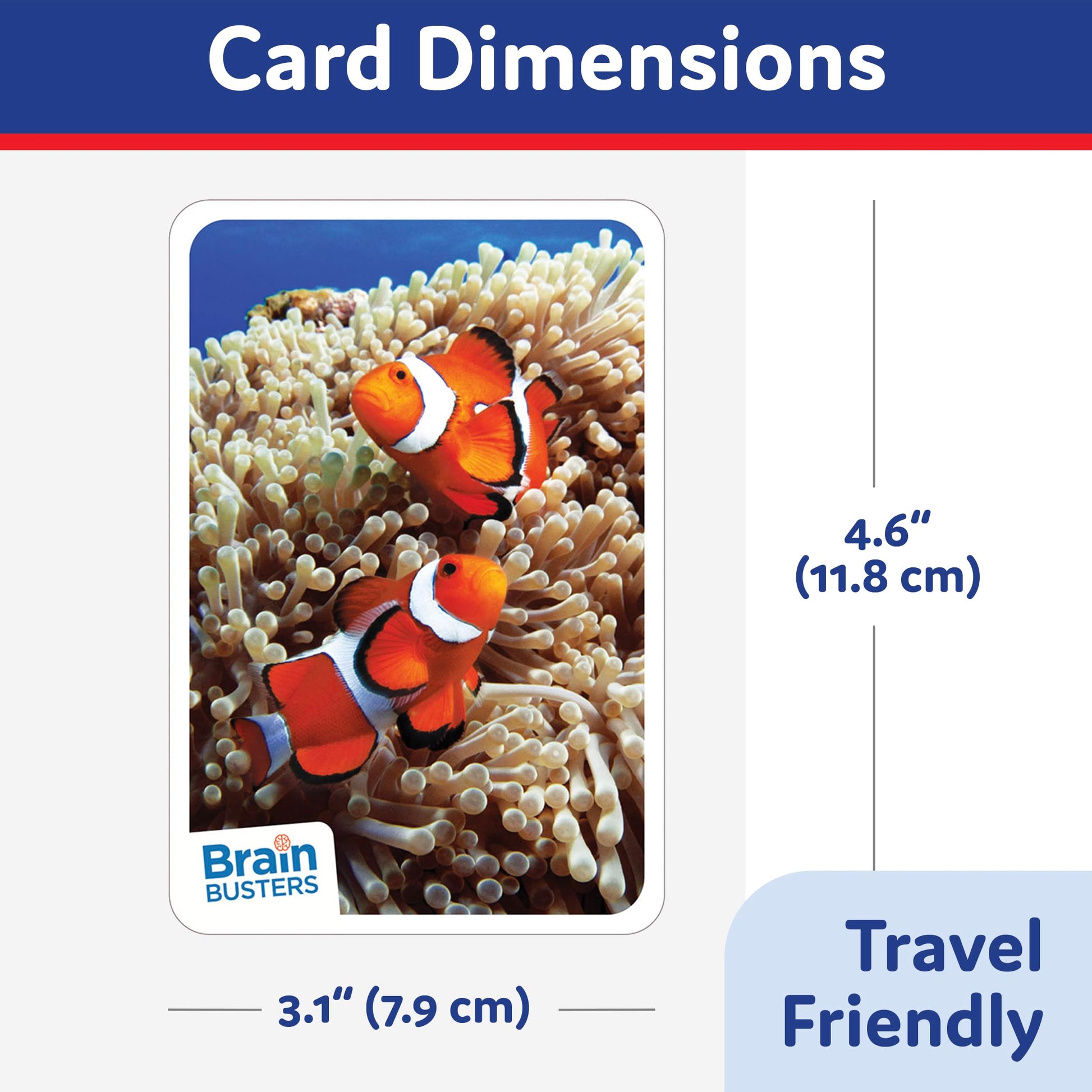 Brain Busters Card Game for Kids, Family Trivia Game Bundle with 120 Flash Cards - Learn and Play with Multiple Choice Trivia Cards About Human Body