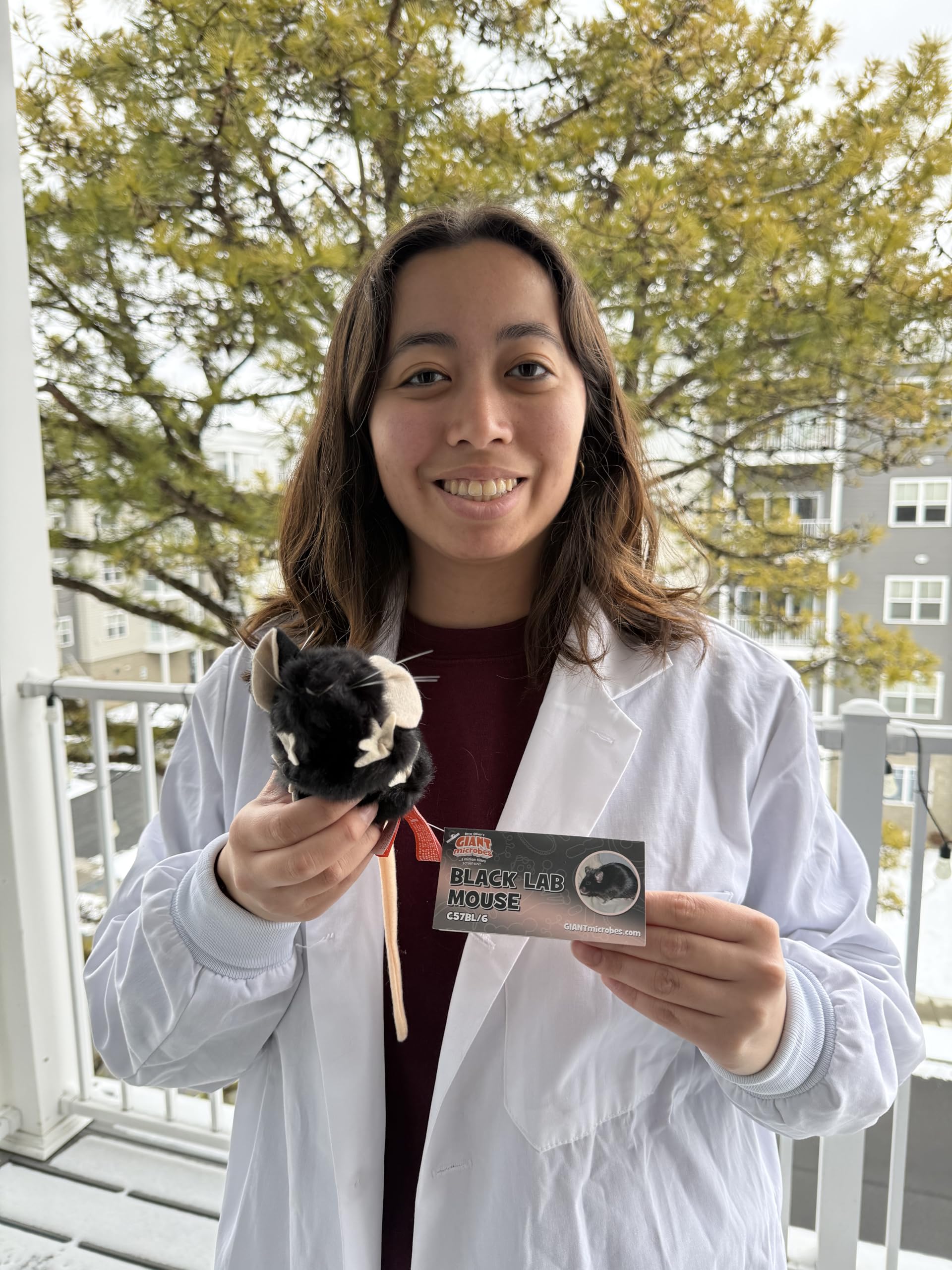 GIANTmicrobes Black Lab Mouse - Learn about Nature and Science with this Lab Research Animal, Memorable Gift for Lab Workers, Scientists, Students