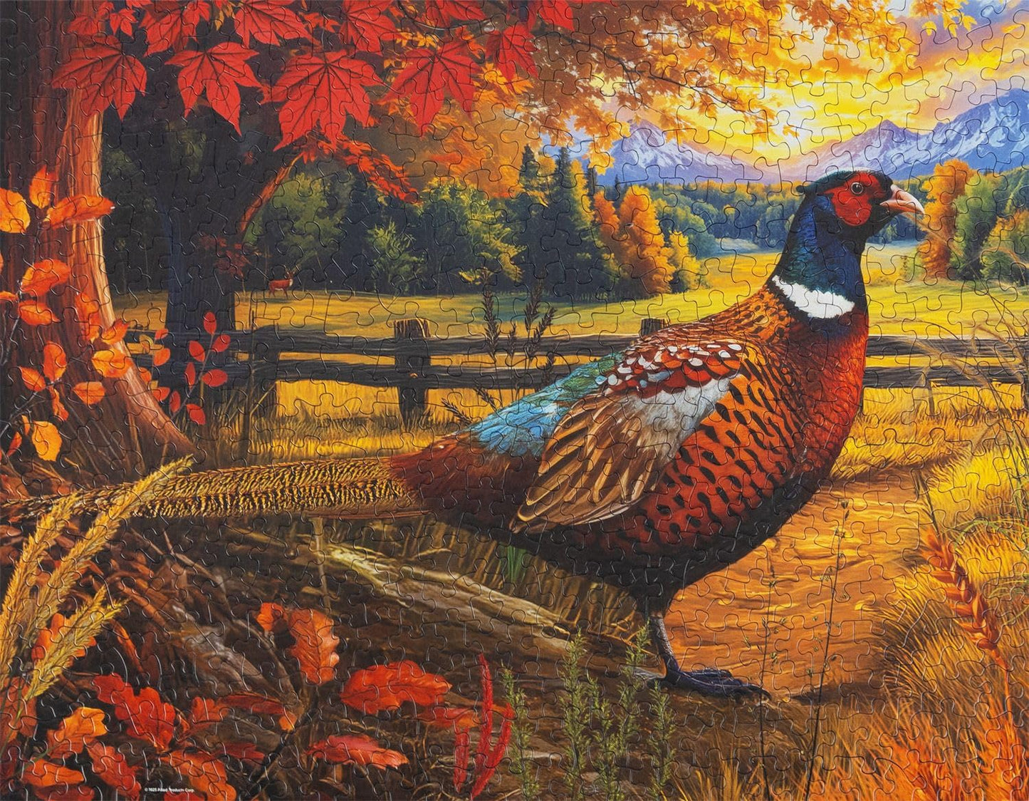 Springbok Golden Fields Pheasant 500 Piece Jigsaw Puzzle for Adults