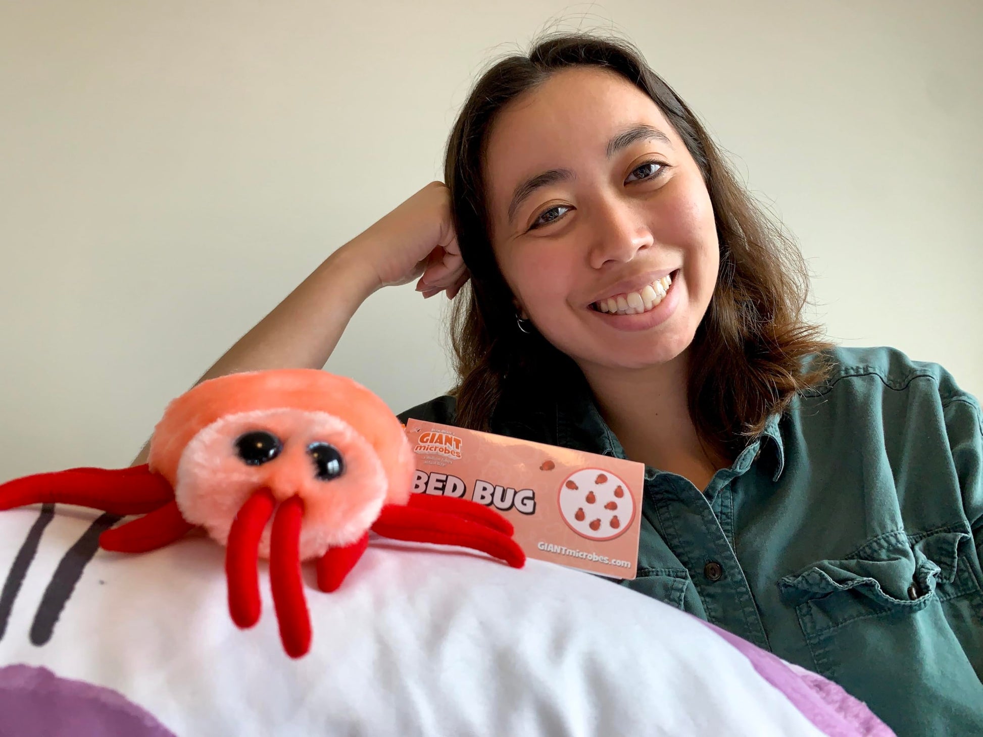 GIANTmicrobes Bed Bug Plush - Learn About This Common Crawler with This Cuddly Plush, Unique Gift for Friends, Family, Educators, Students