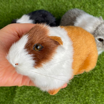 Basuo-9Q 3 Pcs Realistic Hamster Figurines Guinea Pig Plush Toys