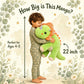 gnomantic Dinosaur Weighted Stuffed Animals, Plush Pillow for Kids