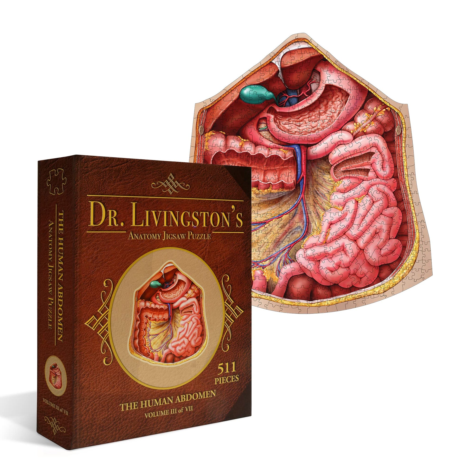 Genius Games Human Abdomen Anatomy Jigsaw Puzzle | Dr Livingston's Unique Shaped Science Puzzles, Accurate Medical Illustrations of the Body, Organs