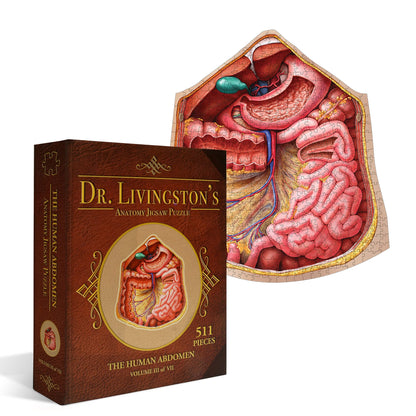 Genius Games Human Abdomen Anatomy Jigsaw Puzzle | Dr Livingston's Unique Shaped Science Puzzles, Accurate Medical Illustrations of the Body, Organs