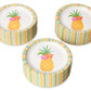 American Greetings Tropical Luau Party Supplies for BBQs and All Summer Parties, Dessert Plates (36-Count)