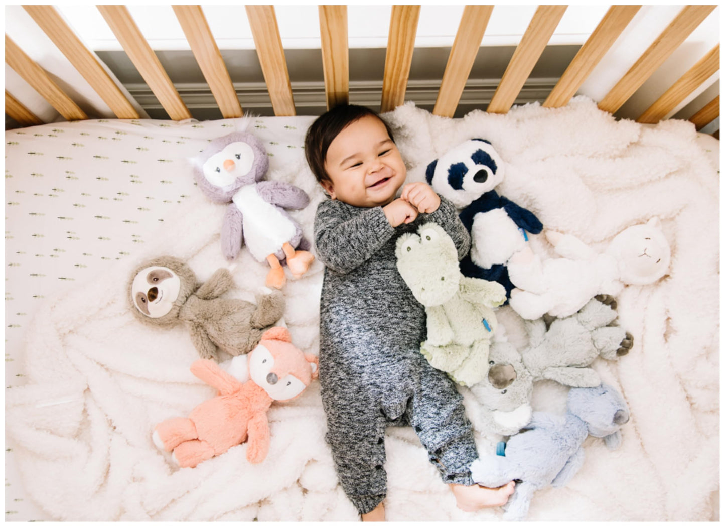 GUND Baby Lil’ Luvs Shay Koala 12-Inch Stuffed Animal for Ages 0+