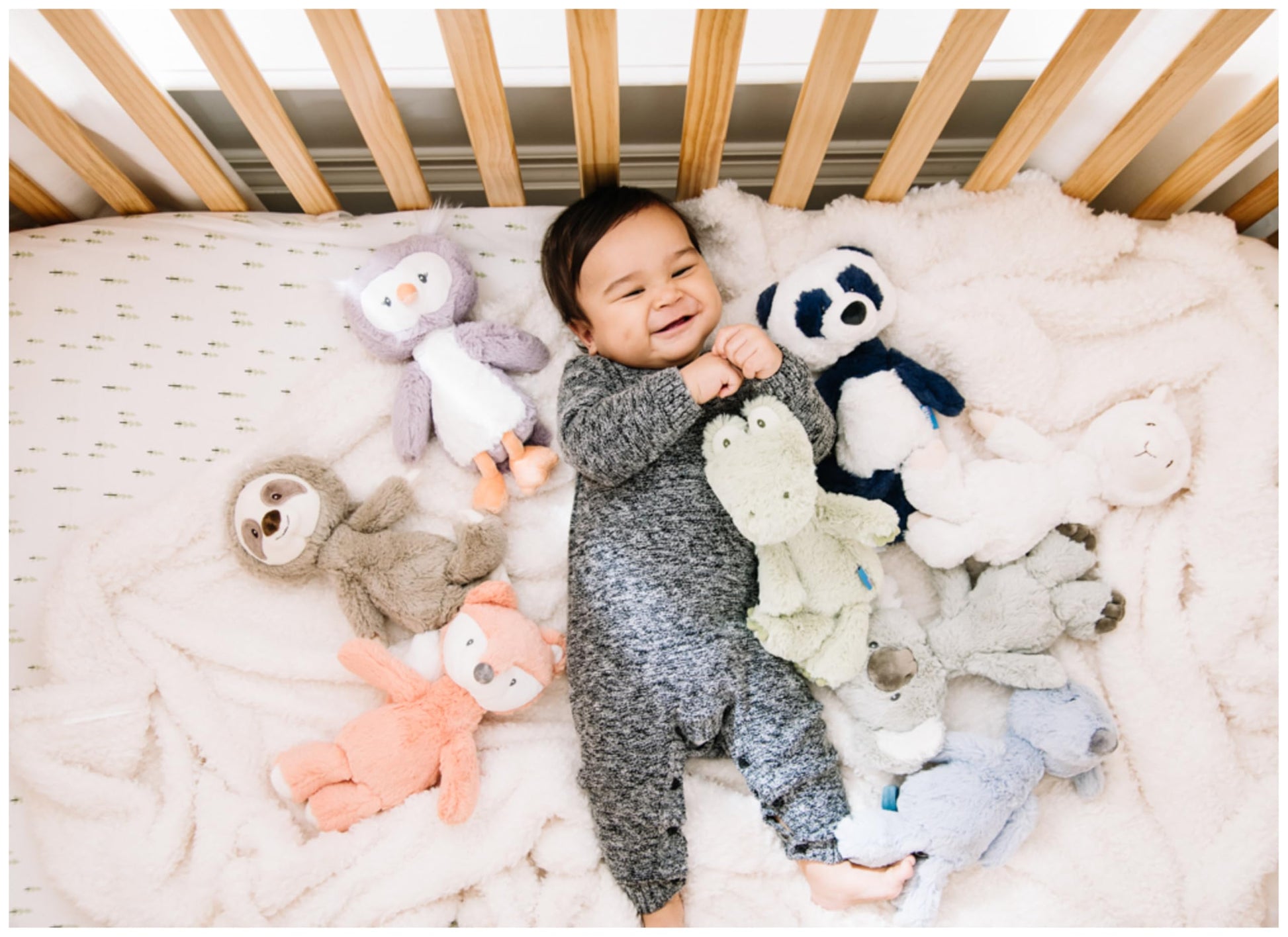 GUND Baby Lil’ Luvs Shay Koala 12-Inch Stuffed Animal for Ages 0+