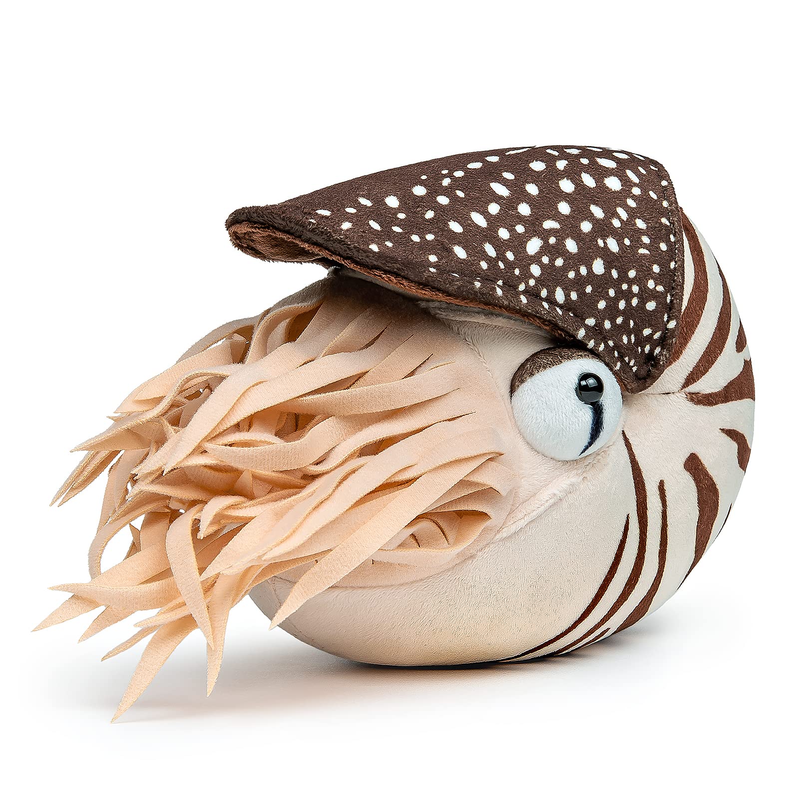 Nautilus Stuffed Animal, Realistic Nautilus Plush Toy, Lifelike 8 Inch Nautilus Toy, Stuffed Cuddly Soft Sea Creatures Nautilus Model Plush Toy, Gift