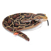 Wild Republic Living Earth Snakes Burmese Python Stuffed Animal - 60"
