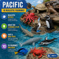 Safari Ltd. Pacific TOOB - 10 Miniature Marine Animal Figures - Educational Toy Set for Boys, Girls, and Kids Ages 3+