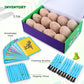 Dig Up Dinosaur Fossil Eggs, Easter Digging Toy for Kids 3-5 6-12