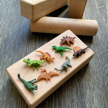 Safari Ltd. Dinos Fun Pack - Mini Figures of Dinosaurs - Educational Toy Set for Boys, Girls, and Kids Ages 5+
