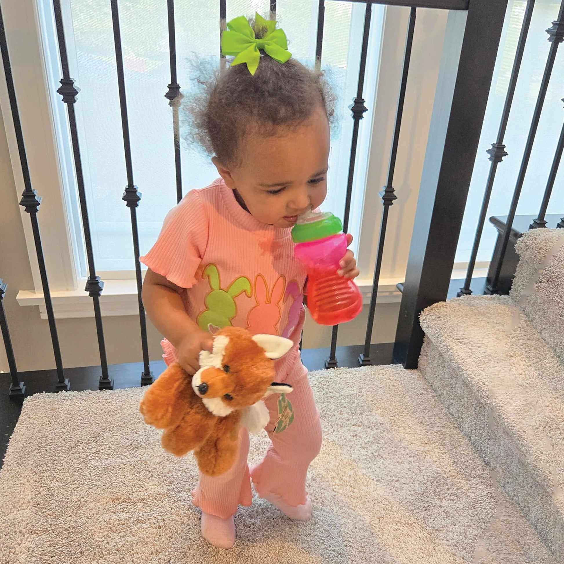 The Petting Zoo Fox Stuffed Animal, Gifts for Kids, Wild Onez Zoo Animals, Fox Plush Toy 9 inches