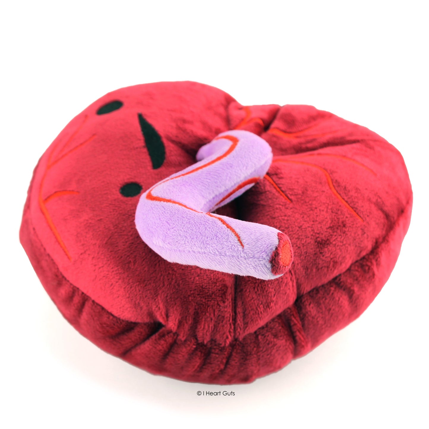 I Heart Guts Placenta Plush - Cute Educational Organ Toy for Childbirth & Postpartum - Funny Get Well Recovery Gift for Labor Delivery Nurse Patients