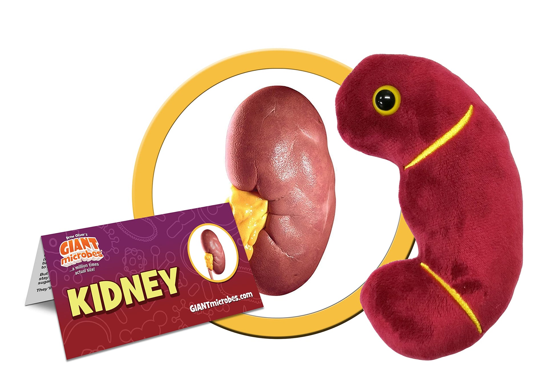 GIANT MICROBES Stuffed Kidney Plush Toy, Kidney Transplant Gifts, Nephrology Gift, Best Gifts for Dialysis Patients, Organ Plushies, Urology Gift