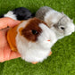 Basuo-9Q 3 Pcs Realistic Hamster Figurines Guinea Pig Plush Toys