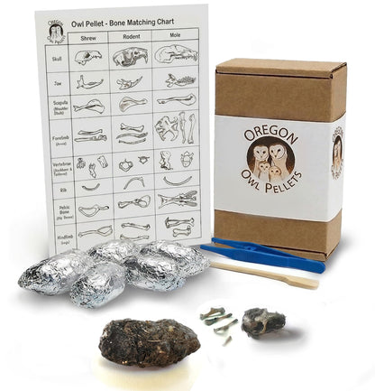 Oregon Owl Pellets Dissection Kit, 6 Large Pellets with Tools and Bone Chart - Classroom Science