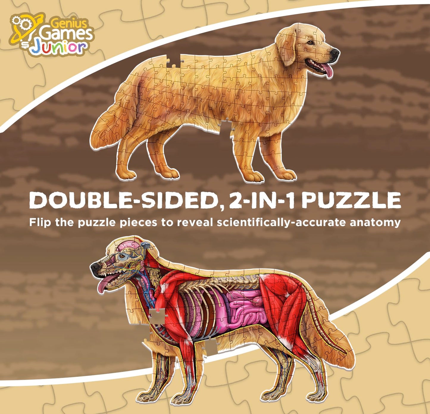 Dog Animal Anatomy Floor Puzzle | 100-Piece Double-Sided Jigsaw Puzzle | Large Floor Puzzle for Kids Ages 4-8, 3-5, 8-10 | Fun and Educational STEM