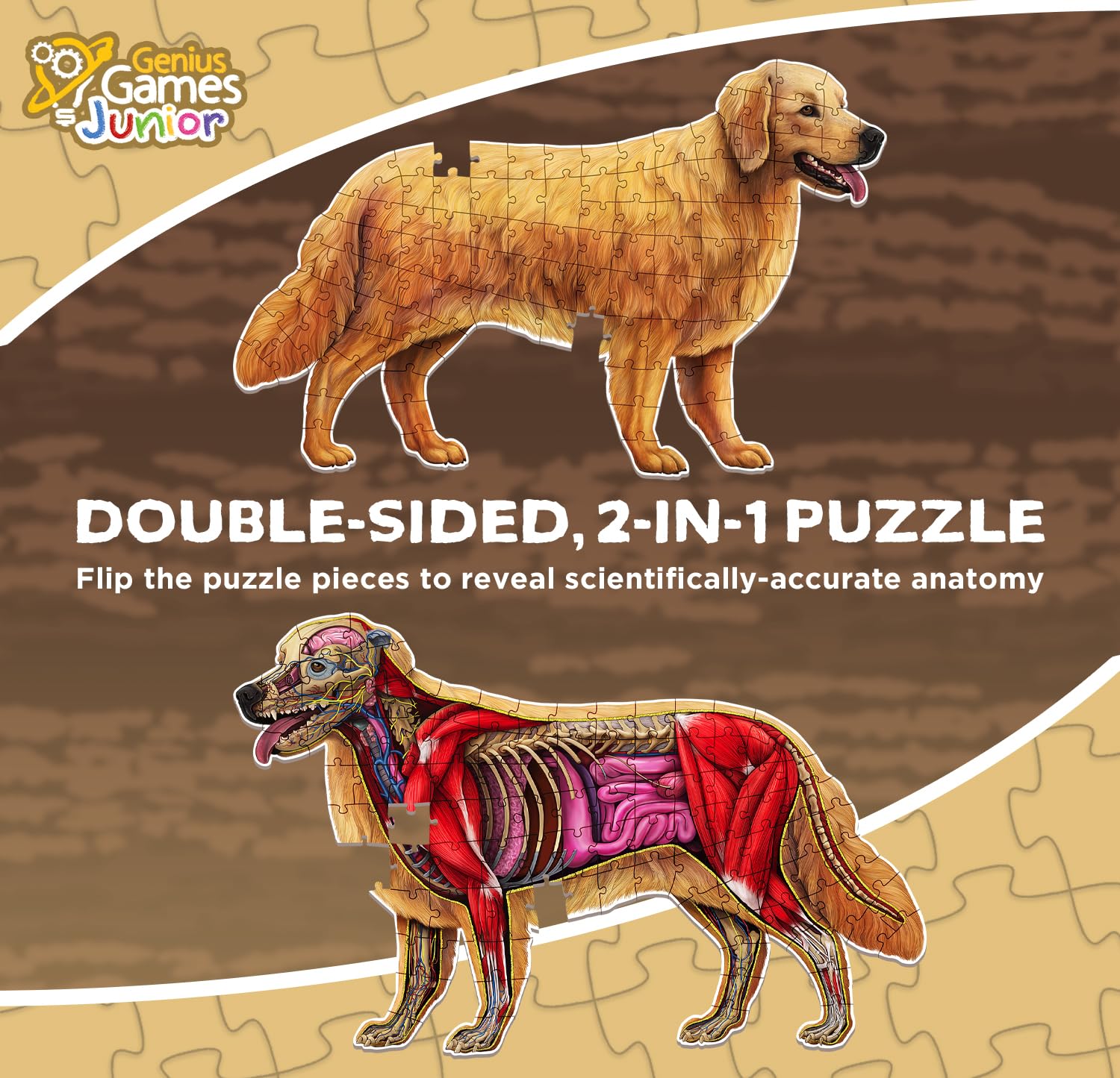 Dog Animal Anatomy Floor Puzzle | 100-Piece Double-Sided Jigsaw Puzzle | Large Floor Puzzle for Kids Ages 4-8, 3-5, 8-10 | Fun and Educational STEM