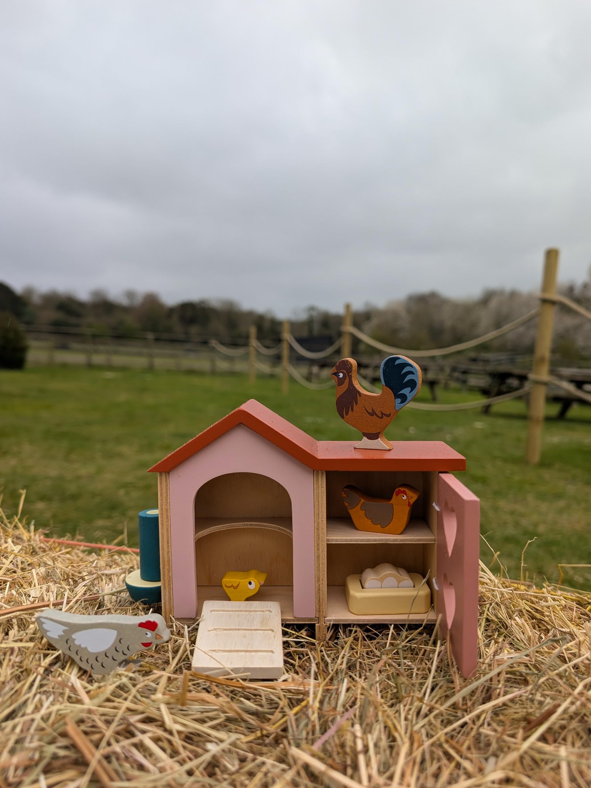 Tender Leaf Toys - Chicken Coop - 9 Pcs Miniature Henhouse Farm Animal Toys, Dollhouse Accessories Pretend Play Set for Kids Imaginative Play - Age 3+