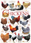 Cobble Hill 1000 Piece Puzzle - Chicken Quotes - Sample Poster Included