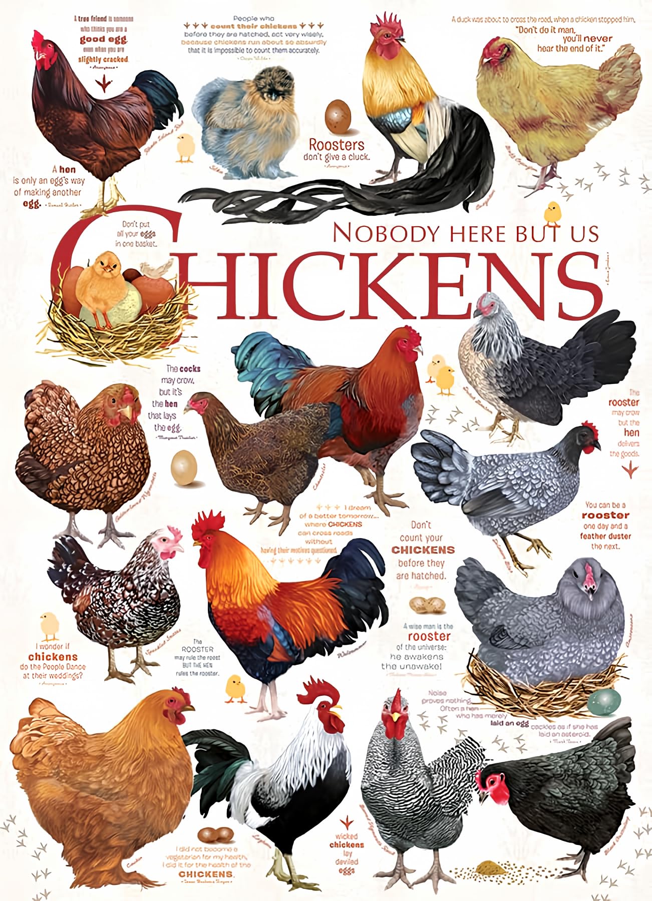 Cobble Hill 1000 Piece Puzzle - Chicken Quotes - Sample Poster Included