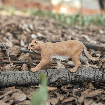 Safari Ltd. Mountain Lion Figurine - Realistic 5.5" Plastic Model Figure - Educational Toy for Boys, Girls & Kids Ages 3+