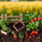 4Pcs/Set Miniature Dollhouse Agricultural Tools Decoration Toy Gift Tool 1/12 Doll Garden, Vegetable Basket, DIY Doll House Kit