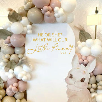 ZAIBIANHAO HE or SHE What Will Our Little Bunny Be Decal - Spring Easter Baby Shower Decorations,Some Bunny Party Decor for Balloon Archs,Rabbit Theme