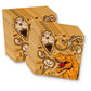 Roaring Dino Jurassic T-Rex Dinosaur Birthday Party Supplies - Dinosaur Decorations for Birthday Party - Dinosaur Birthday Set Plates, Napkins,