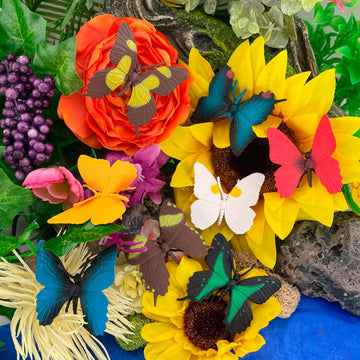 Safari Ltd. Butterflies TOOB - Figurines of Red Glider, Swallowtail, Orange & White Sulphur, Evenus Regalis, Papilio Garleppi & More - Educational Toy