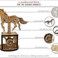 Abong 3D Wood Craft Mechanical Horse Automation Model | 221 Pieces of Precise Cuts of Plywood | Includes an Illustrated Instruction Book